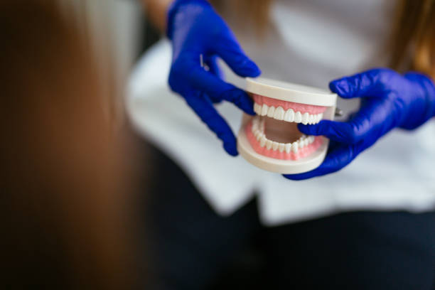 Fort Irwin, CA Holistic Dental Care Services Company